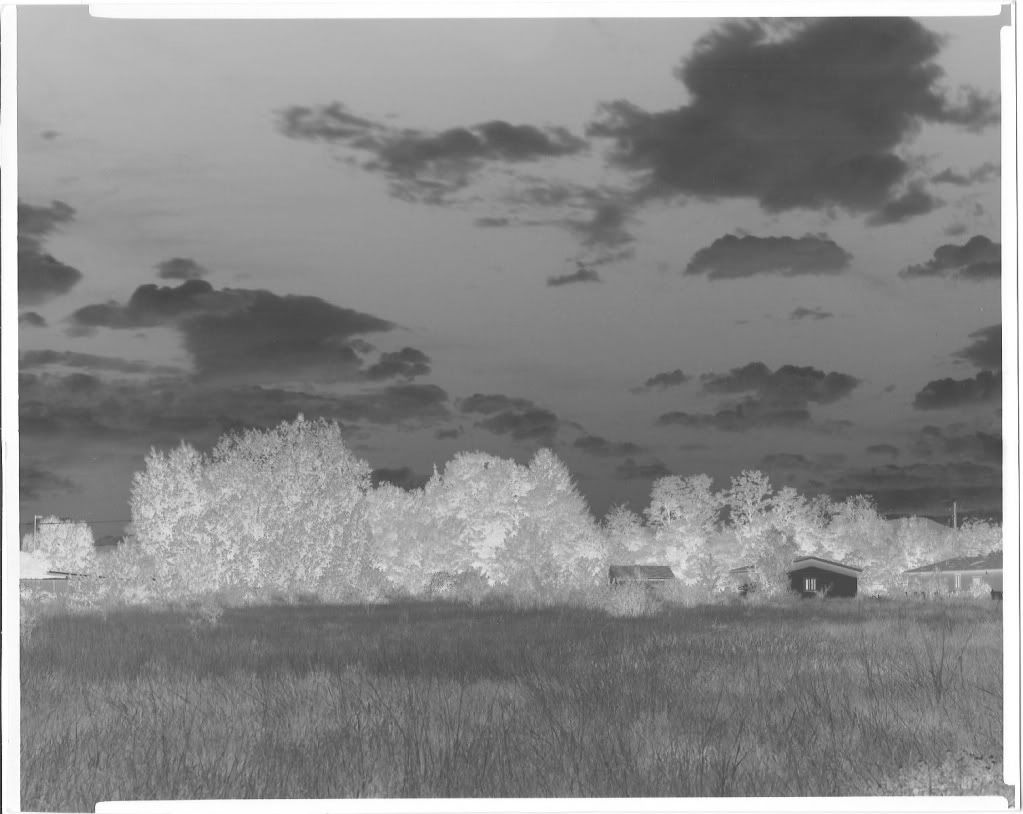 Paper negatives Page 21